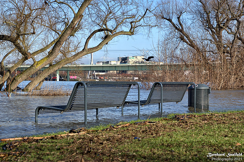 Bernhard Saalfeld - Baenke Rheinpark